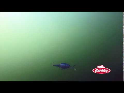 Berkley Jointed Flicker Action: Underwater Close Up