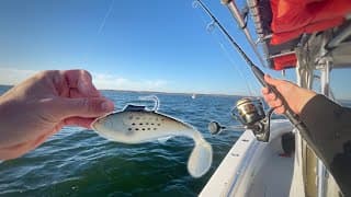 Nonstop Striped Bass Fishing in the Raritan Bay! (we lost count)