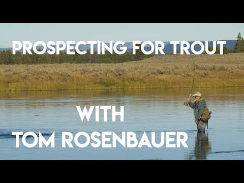 Prospecting for Trout with Tom Rosenbauer