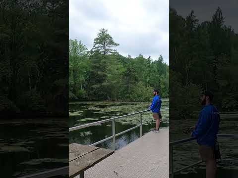 St  Johns Conservation Area | Urban Fishing Locations