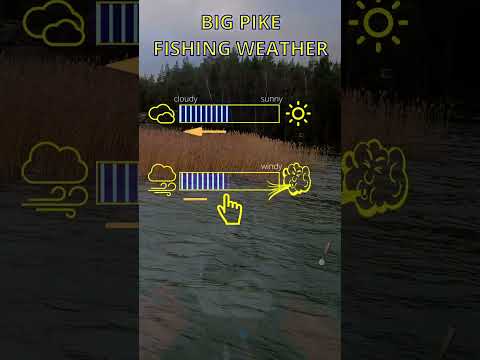 Best Pike fishing weather. Tip №21 #shorts