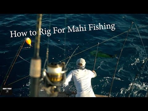 Mahi Rigging