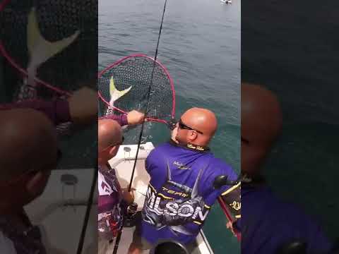 Using Live Bait To Catch Fish