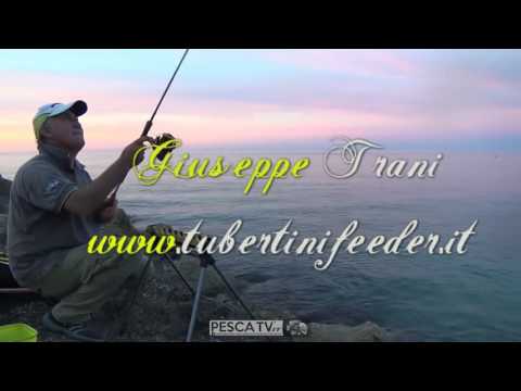 PESCA A FLOATING FEEDER al Conero Sirolo e Passetto di Ancona