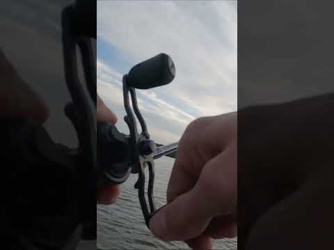 HUGE Largemouth at Lake Purdy (Fall Crankbaits)-Longleaf Fishing