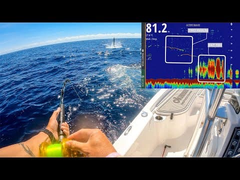 How to catch Marlin on live baits