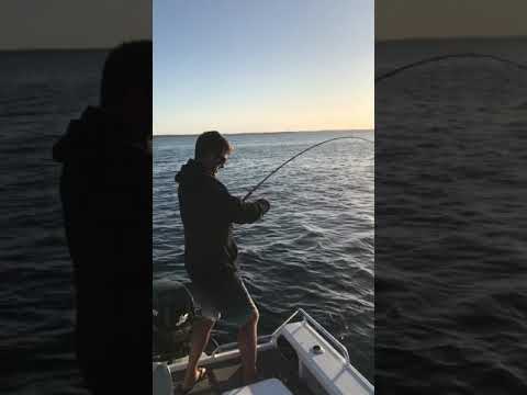 Matt Cross Jervis Bay catching amazing snapper on light rod.