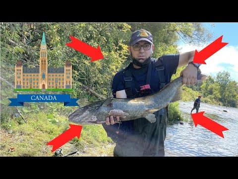 Fishing pressured URBAN river down town Ottawa