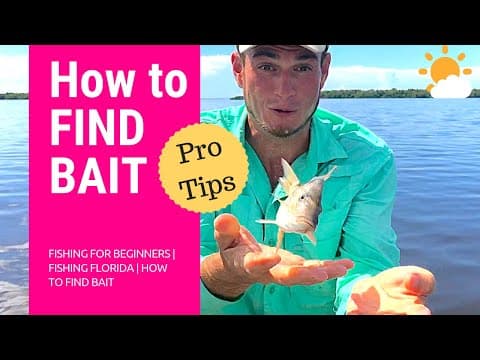 Fishing for Beginners | Fishing Florida | How to Find Bait Fish