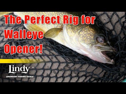 The Perfect Bait Rig for Walleye Opener - Lindy Fishing Tackle