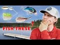 Fall Fishing Lures You MUST HAVE (Catch Fish FAST)