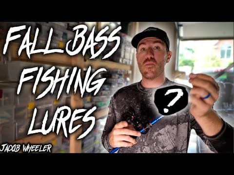 Top 3 BAITS I catch BASS on during the FALL Transition