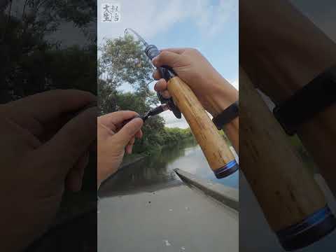 [HK Fishing] Lures fishing in Hong Kong    #fishing #hongkong