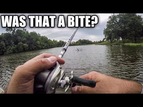 Do you know when you have a &quot;BITE&quot;? (Fishing Tips for Beginners)