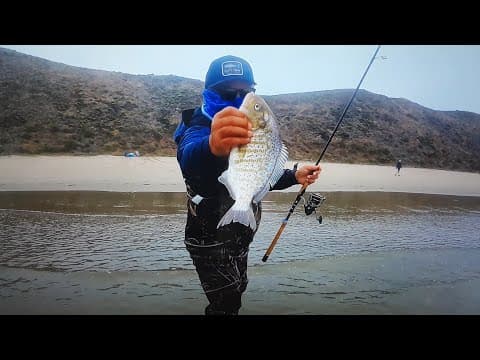 Santa Cruz Best Spot Gaint SurfPerch Fishing 🔥