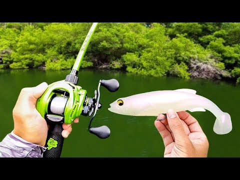 Fishing a BIG Swimbait for Pond MONSTERS!