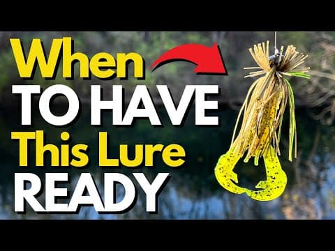 4 Situations When Finesse Jigs EXCEL | Bass Fishing Tips