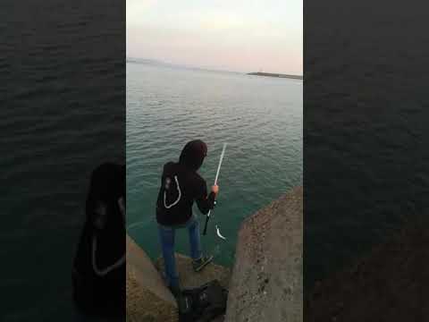 Matteo spinning inshore leccia amia Pescara