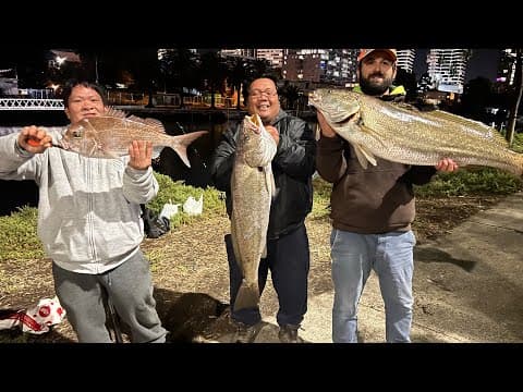 Double hook up 2 Mulloway,Jew, 1 mtr plus Maribyrnong river Footscray Melbourne