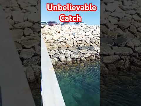 How to get more Fish in Oman/ Fishing Vlog/ Best fishing location in Oman Muscat Darsait