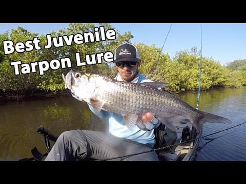 The Best Lure To Catch Juvenile Tarpon (Even If They&#39;re Being Picky)