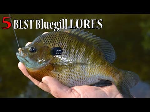 5 Best Lures for PANFISH!! Bluegill Cant Resist Them!!