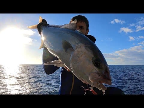 Una bella RICCIOLA a metal JIG! - SHORE JIGGING in ITALIA - A Nice AMBERJACK from the rocks!