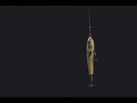 BLURRING THE LINES WITH THE CAST FISHING OG