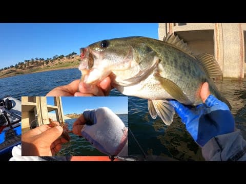 Eastman Lake Catching Bass With Crawdads