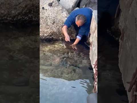 PEPPE PRENDI IL POLPO 🐙 #pesca #fishing #polpo 🎥 111_life