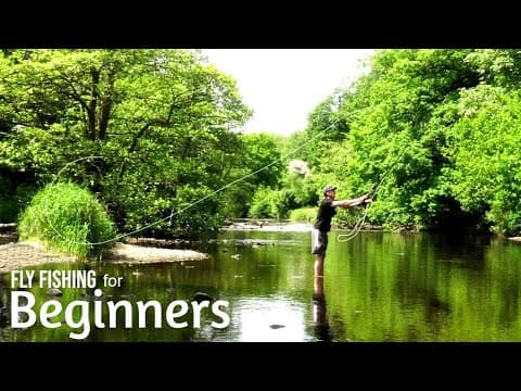 FLY FISHING FOR BEGINNERS