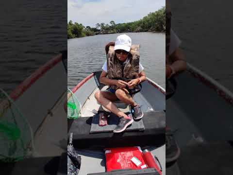 Saint Lucie River North Fork 2