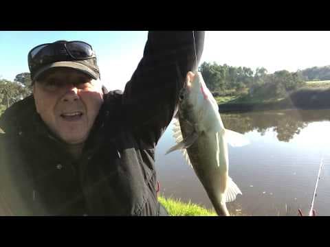 Maribyrnong fishing - good bream biting