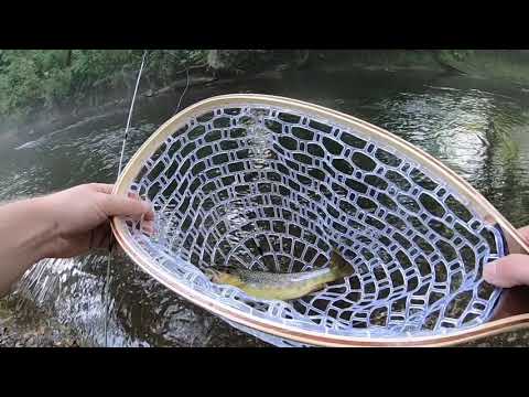 Successful Trout Fishing Gunpowder river