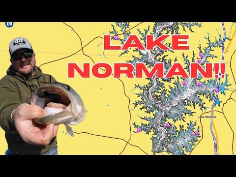 This Is How To Catch BIG BASS On North Carolina’s LAKE NORMAN!!