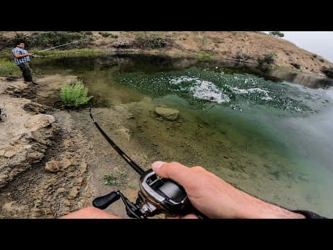 INSANE Topwater Bass Fishing from Shore at Castaic Lake !