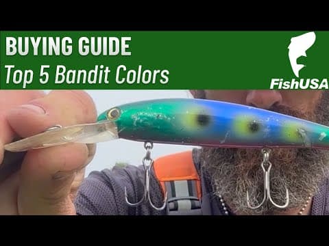 The TOP 5 Bandit Walleye Deep Diver Colors for Fishing Lake Erie