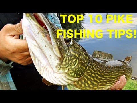 10 Tips to help you catch more pike on lures! Pike fishing tips and techniques