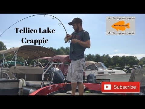 Tellico Lake Crappie