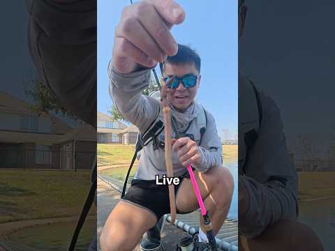 How To Catch A Bass (EASY)