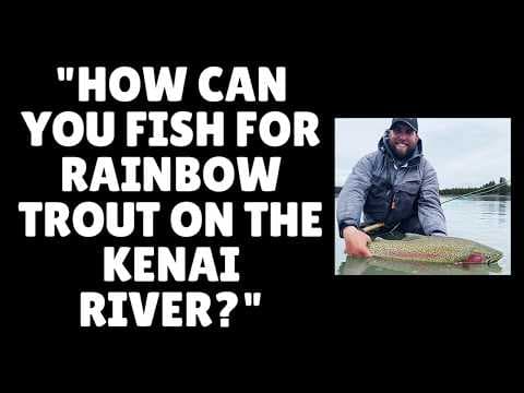 How can you fish for Rainbow Trout on the Kenai River?
