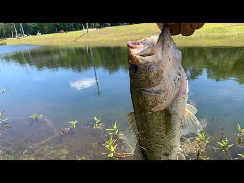 Myrtle Beach Pond Fishing