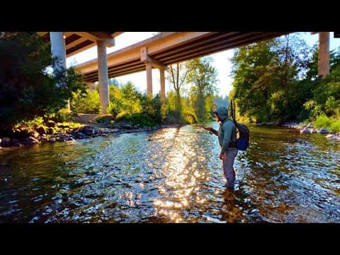 MILLIONS of Fisherman Drive Over This GEM of a River DAILY &amp; Have ZERO CLUE What They Are Missing