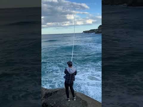 Rock fishing Australia | Australian salmon