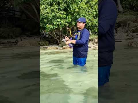 Caught a Crescent grunter 🐟 #ultralightfishing #fishing #fishingphilippines