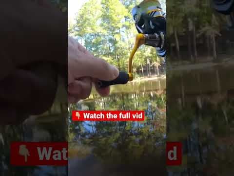 Fishing for anything that bites