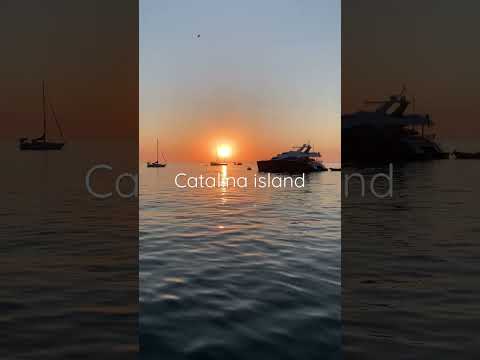 Catalina island fishing