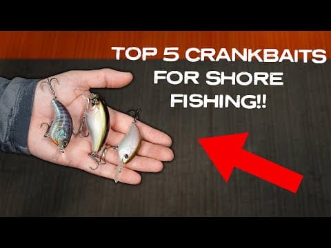 5 Killer Crankbaits For POND Fishing! Full Breakdown On Our Favorite Shore Crankbaits!!