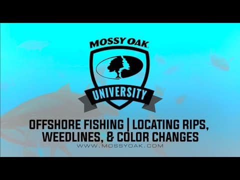 Offshore Fishing | Locating &amp; Fishing Rips, Weedlines, and Color Changes