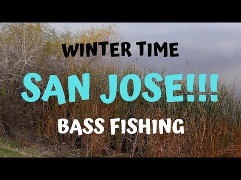 BASS FISHING IN SAN JOSE WITH LOCAL - FISHBRAIN USER!!!